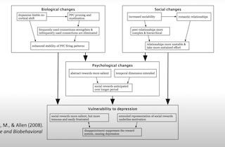 Nick Allen & Jenn Pfeifer— Adolescent Brain Development and Mental Health: Theories of Change and Clinical Outcomes