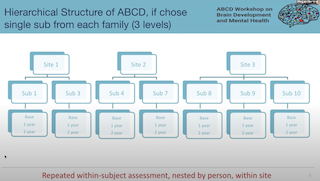 Megan Herting- Mixed Effects Models Track 2 Theory